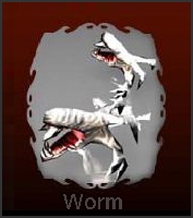 Worm